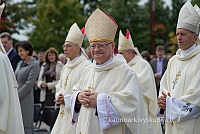 20150913 silines 4201 ms