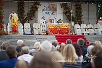 20150913 silines 4228 ms