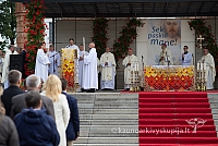 20150913 silines 4247 ms