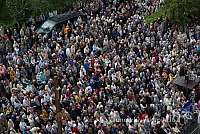 20150913 silines 4273 ms