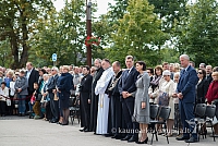 20150913 silines 4290 ms