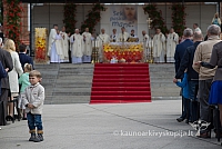 20150913 silines 4360 ms