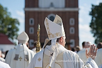 20150914 silines 4596 ms