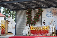 20150914 silines 4618 ms