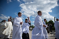 20150914 silines 4671 ms