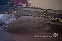 20150915 silines 4817 ms