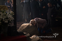 20150915 silines 4823 ms