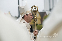 20150915 silines 4854 ms