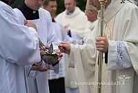 20150915 silines 4859 ms