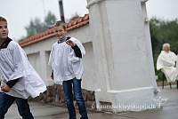 20150915 silines 4923 ms