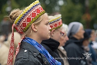 20150915 silines 4947 ms