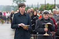 20150915 silines 4952 ms