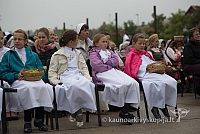 20150915 silines 4964 ms