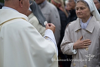 20150915 silines 4982 ms