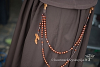 20150915 silines 4996 ms