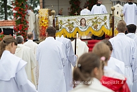 20150915 silines 5038 ms