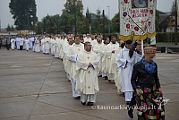 20150915 silines 5052 ms