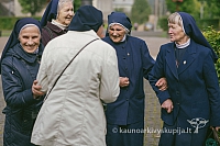 20150915 silines 5102 ms