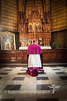 20150711 lv-ingresas 5172 ev