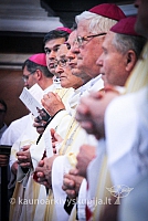 20150711 lv-ingresas 5396 ev