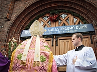 20151213 kn-k gjd 0328 ev