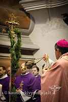 20151213 kn-k gjd 0396 ev