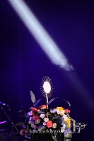 2015 valentinas-k 319 eb