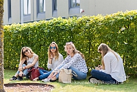 20160910 silines 8344 ms