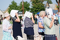 20160910 silines 8403 ms