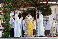 20160910 silines 8414 ms