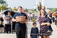 20160910 silines 8460 ms