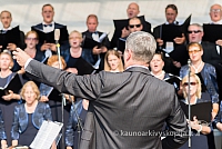 20160910 silines 8498 ms