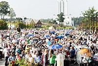 20160910 silines 8520 ms