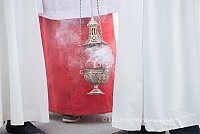 20160910 silines 8763 ms