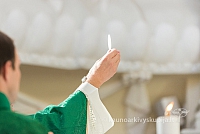 20160911 silines 9191 ms