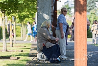 20160911 silines 9217 ms