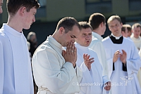 20160911 silines 9260 ms