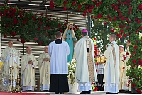 20160911 silines 9340 ms