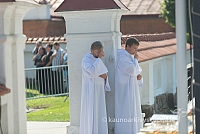 20160911 silines 9369 ms