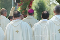 20160911 silines 9371 ms