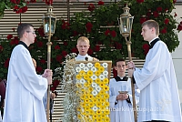 20160911 silines 9375 ms