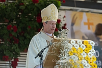 20160911 silines 9381 ms