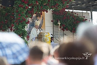 20160911 silines 9383 ms