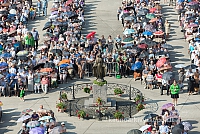 20160911 silines 9393 ms