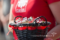 20160911 silines 9403 ms