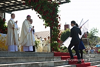 20160911 silines 9411 ms