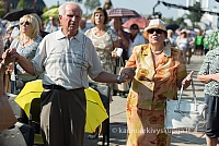 20160911 silines 9454 ms