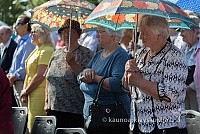 20160911 silines 9457 ms