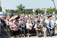 20160911 silines 9477 ms