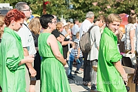 20160911 silines 9491 ms